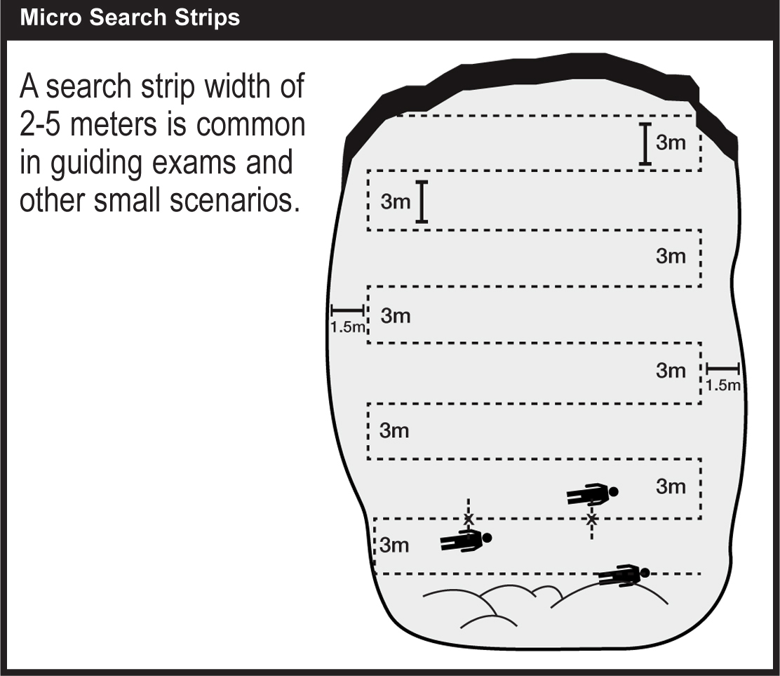 micro search strips