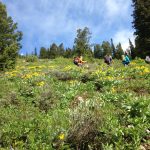 Hiking into Disappointment peak 2