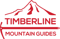 tmg-logo