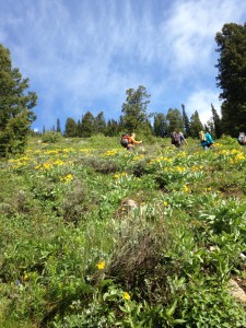 Hiking into Disappointment peak 2