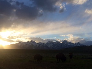 The Tetons